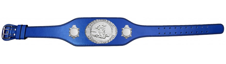 MMA CHAMPIONSHIP BELT-BUD295/S/MMAS-4 COLOURS